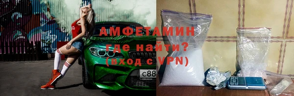 индика Заволжье