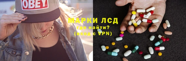 индика Заволжье
