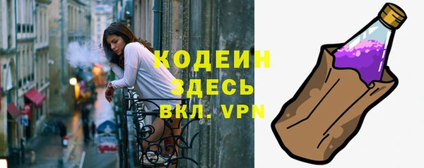 мдпв Заводоуковск