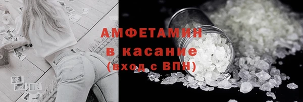 индика Заволжье