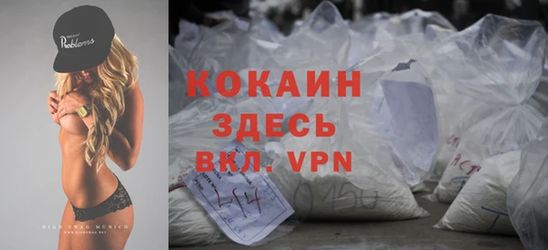 индика Заволжье