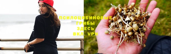 индика Заволжье
