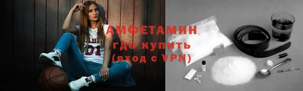 индика Заволжье