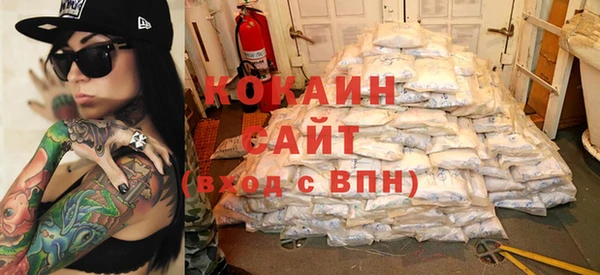 ГАЛЛЮЦИНОГЕННЫЕ ГРИБЫ Ельня