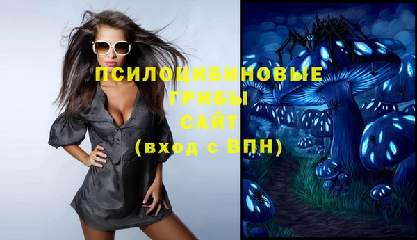 мдпв Заводоуковск