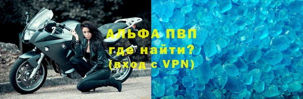 индика Заволжье