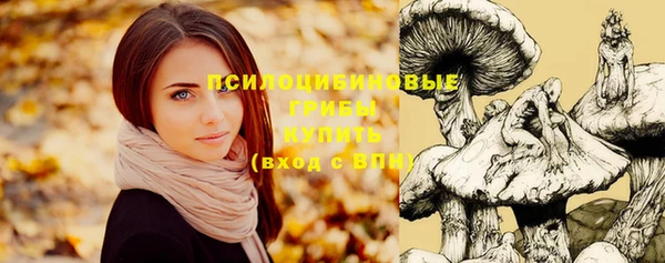 мдпв Заводоуковск