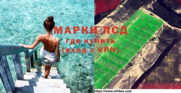 индика Заволжье