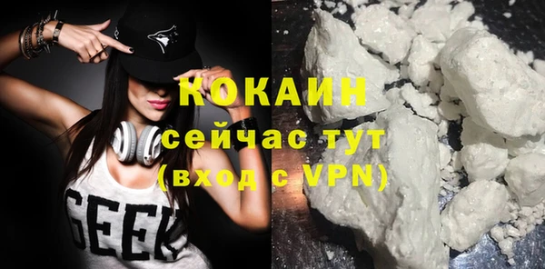 мдпв Заводоуковск