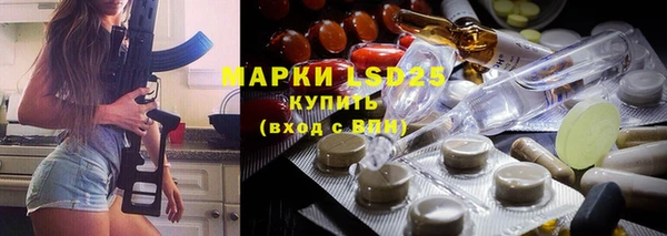 индика Заволжье