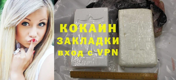 шишки Елизово