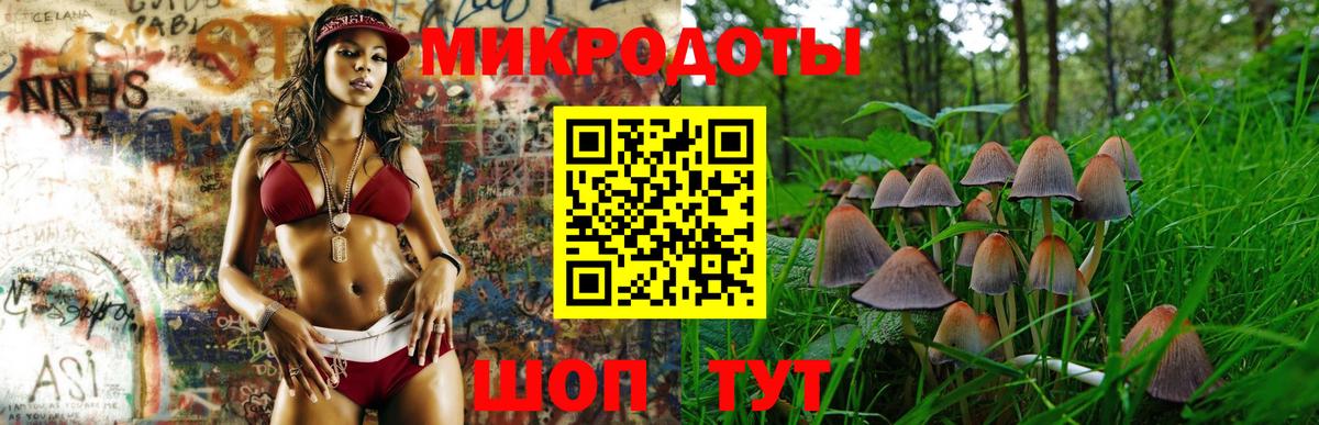 Галлюциногенные грибы Cubensis  Псилоцибиновые грибы Psilocybine cubensis  Ивантеевка  Вход с VPN 
